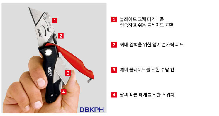 베세이칼-DBK-2.jpg