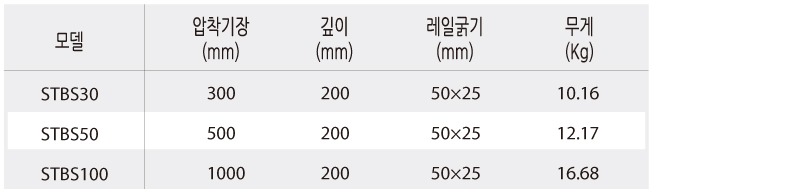 stbs100.jpg